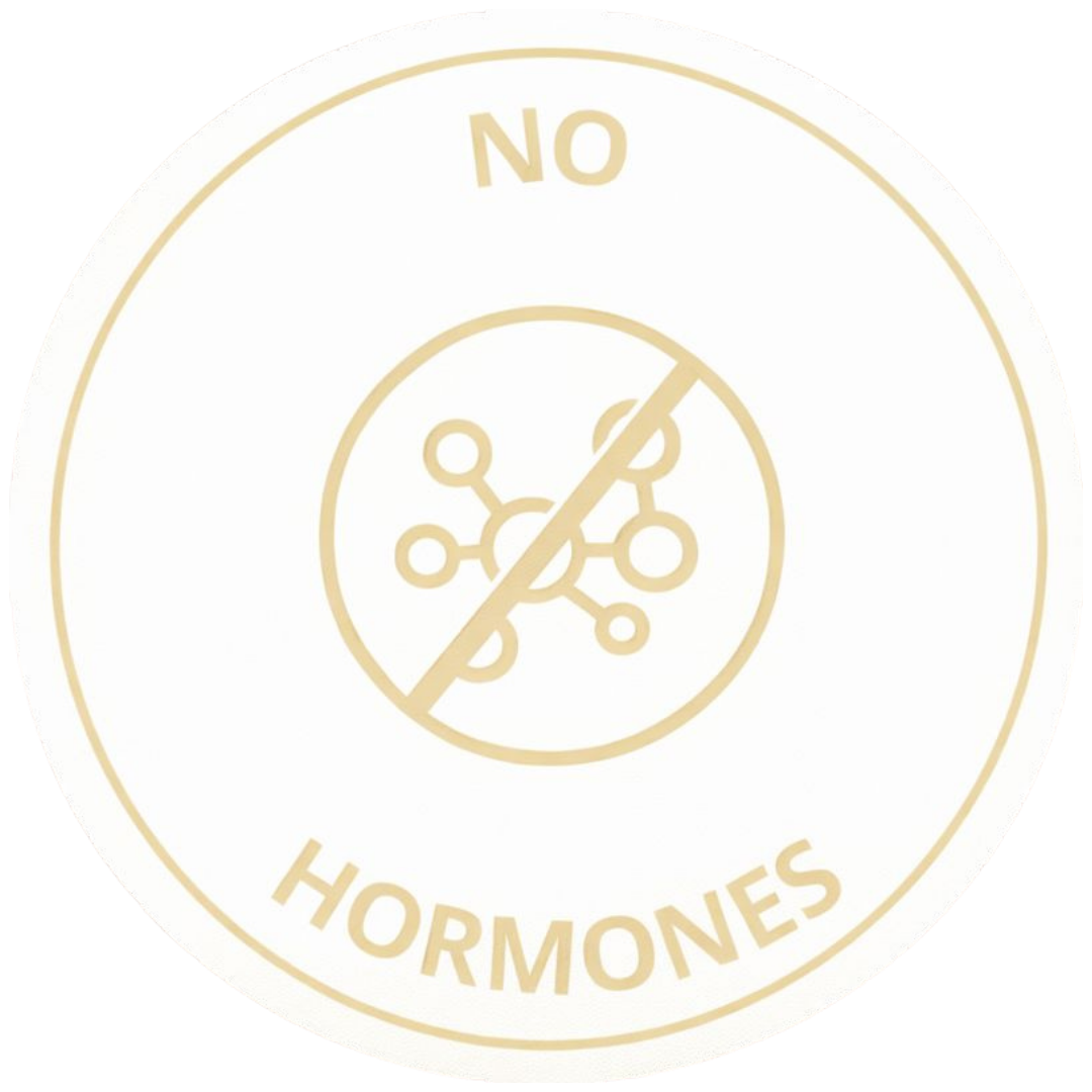 Alt Image